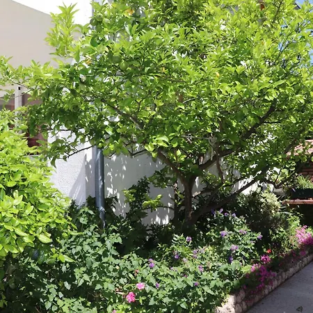 A 3 With Terrace Garden And Sea View Barbat na Rabu